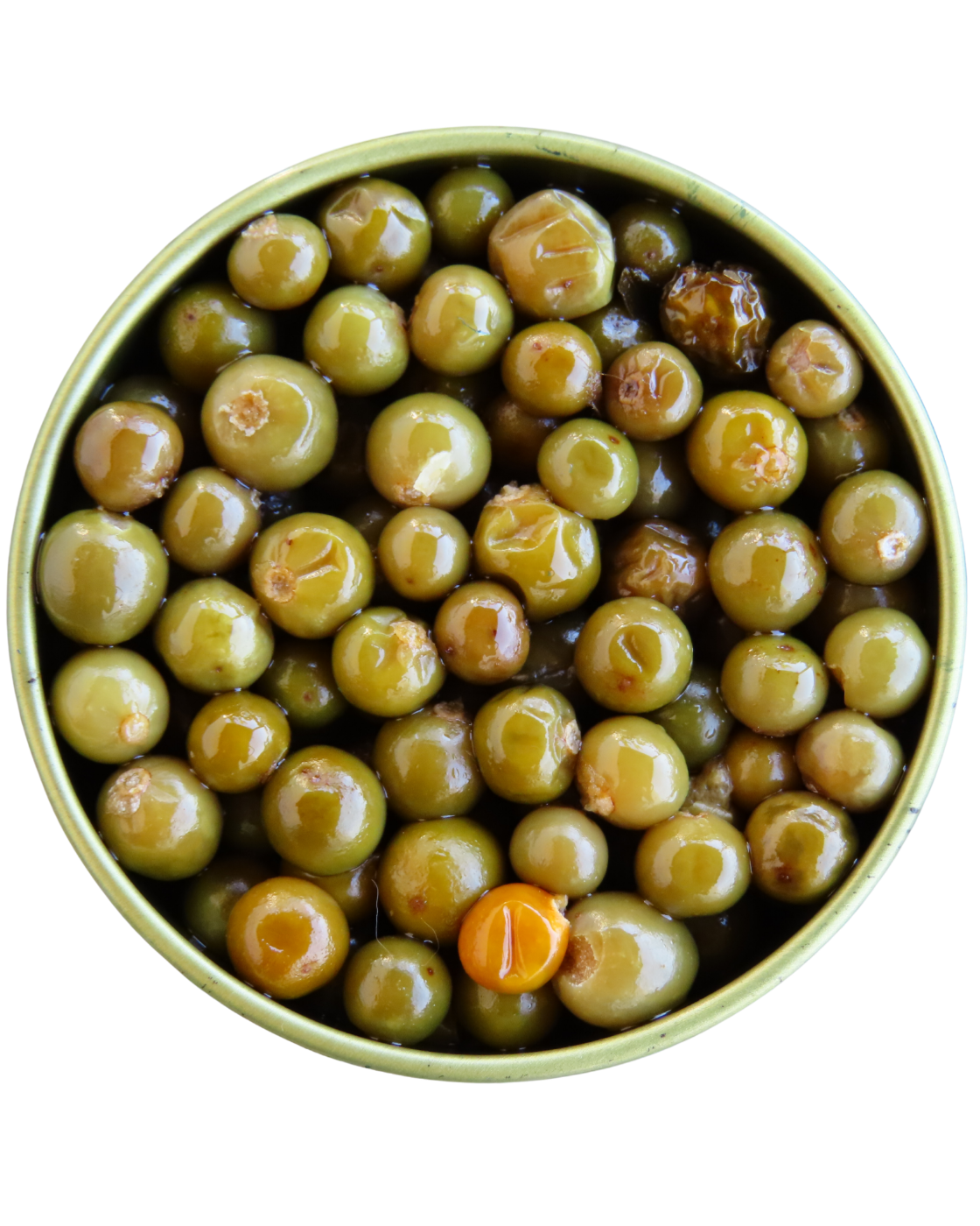 Chile piquín